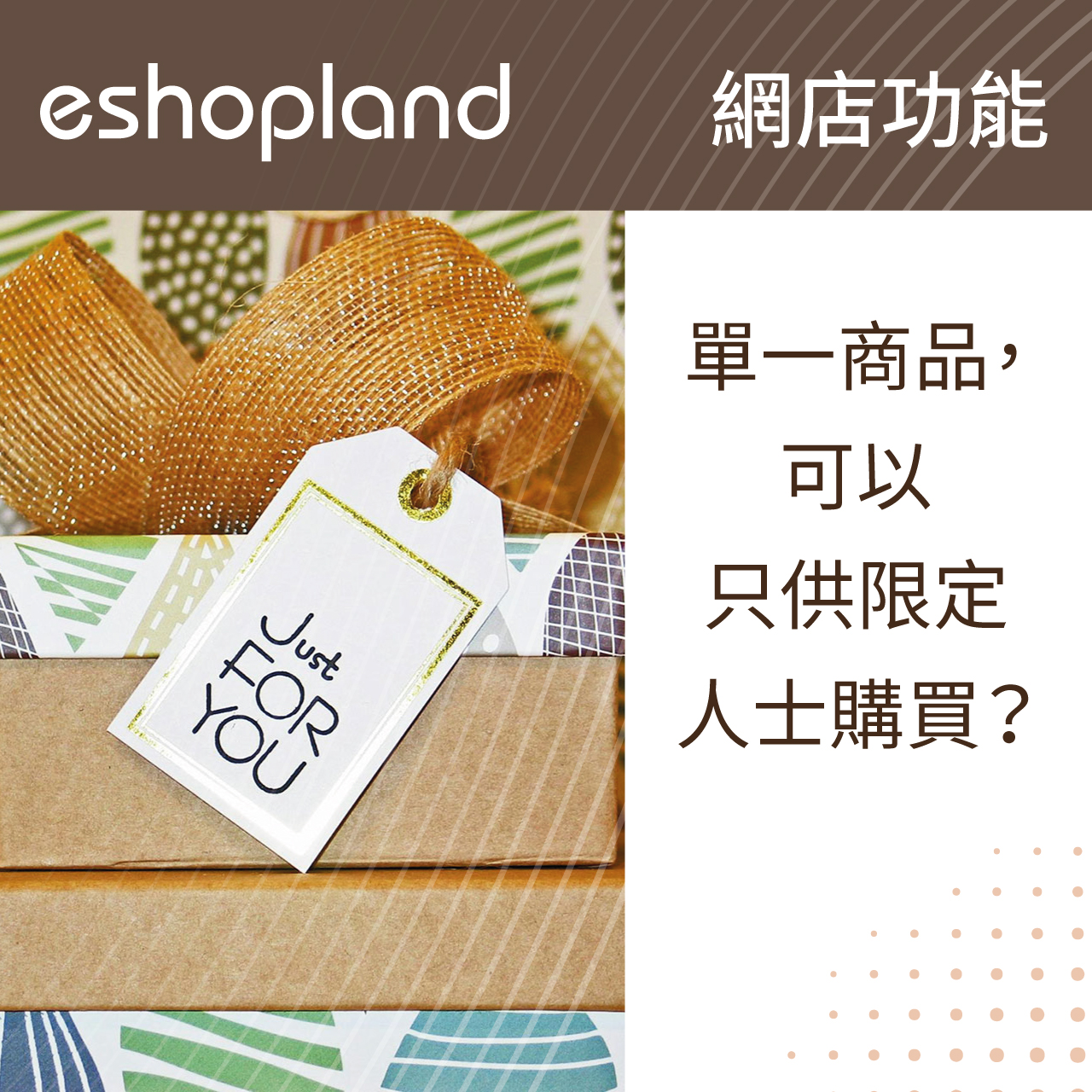 eshopland 網店平台-「隱藏商品」功能